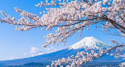 英語のことわざと日本語のことわざ 英語でおしゃべり日記